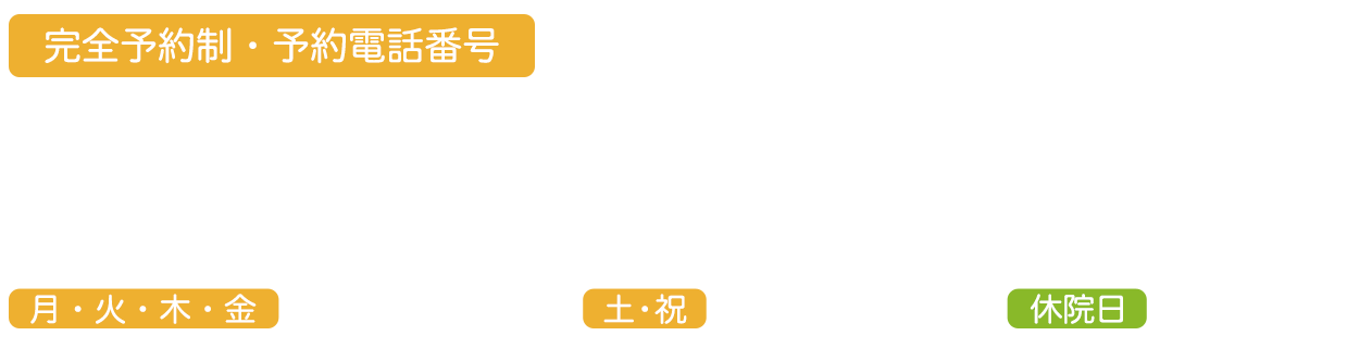 2022春夏新色】 遠藤工業 スプリングバランサー ELF-5 copycatguate.com
